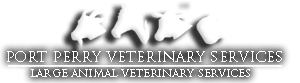 Port Perry Veterinary Large Animal Services